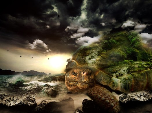 turtle-564733_1280Bonnybbx